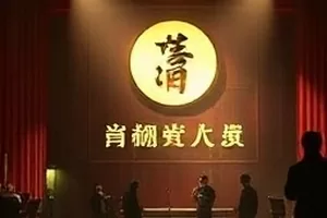 《玻璃海鸥》海边防波堤与飞鸟